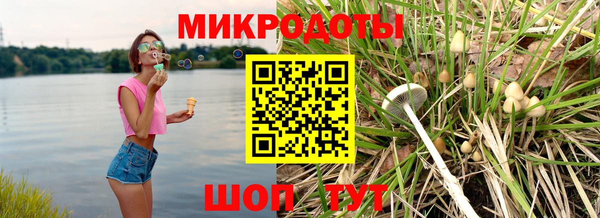 Галлюциногенные грибы прущие грибы  Вход с VPN  Великий Устюг 