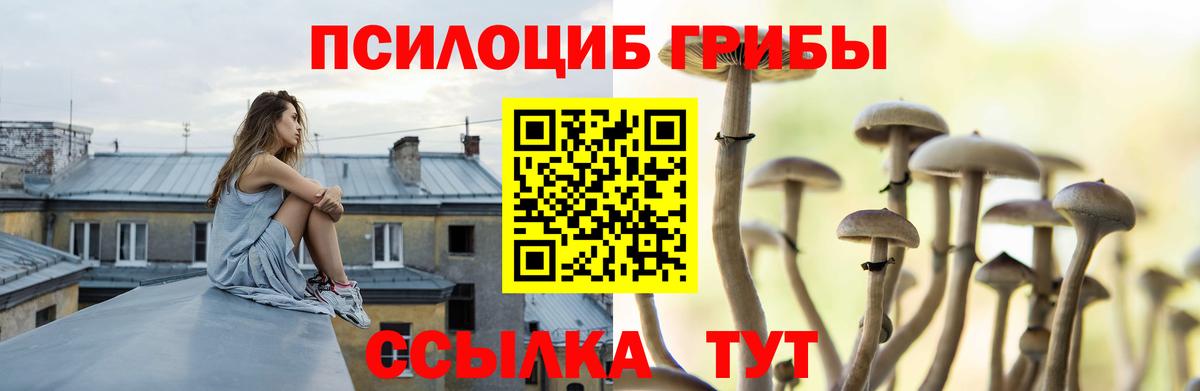 Псилоцибиновые грибы мухоморы Великий Устюг