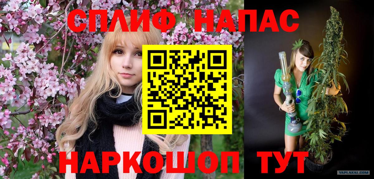 Канабис White Widow  Вход с VPN  Великий Устюг  Шишки марихуана VHQ  Каннабис White Widow  Канабис White Widow 